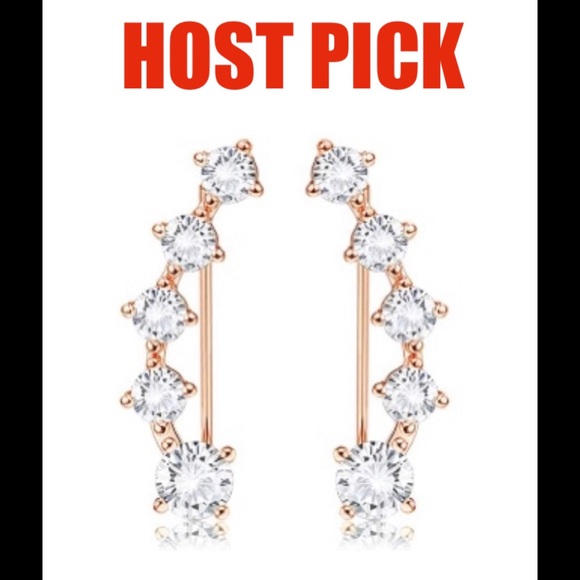 HP🔥🌹Beautiful 🌹Crystal Climber Earrings 🌹NWT🏷 - Picture 5 of 10